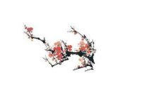 2022年它是百年难得的虎年，更难得的是在五月降生的虎宝宝更是难觅的美好曙光