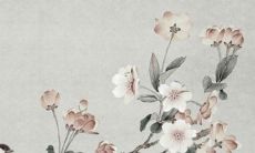 2022年属龙的人运势如何？虎年对属龙的影响是正面的还是负面的？