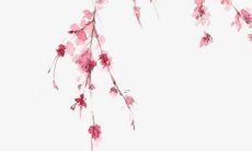 一份精美的英文宠物命名指南：如何为你的宠物取一个优美、合适的英文名字？