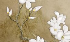 惊艳无比的优美女生QQ名字汇总，让你瞬间拥有万千粉丝！