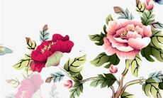 2022年属猪人全年运势、事业、财运、感情、健康、家庭等各方面详细预测与解析