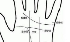 探究手掌厚的女性如何塑造自己的命运以及是否对其拥有足够的福祉