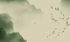 探究属猴人2022年生育对未来的影响：从属猴人生虎宝宝说起