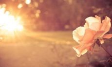 午时的五行属性是什么？是属于五行中的火属性吗？