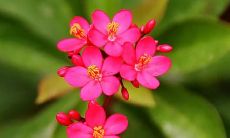 梦见自己乘坐长途汽车行驶穿越起伏山脉和广袤平原的异国众生梦境