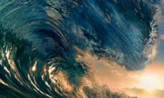 在门前种植哪种树最好？探讨家门口种植什么树最有吉祥意义的可能性