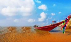 午时在中国文化中的含义与传统习俗：探寻午时的历史渊源、民俗文化及相关传承资料