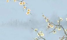 1979年出生的属羊人在2022年的运势如何？