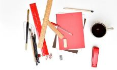 在梦中遇见鸸鹋鸟：一次令人难忘的神秘旅程