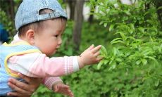 在梦中经历孩子落水溺亡却突然被救起的奇幻经历