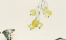 如何给你的花店取个好听的名字：精选创意、优雅和个性化的花卉店名称建议