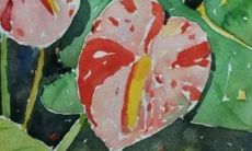 什么是虎宝女孩的名字？有什么含义或背景故事？