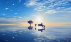 庚戌年出生的狗狗们，究竟有什么奥秘？揭秘他们所拥有的与生俱来的乐观天性！