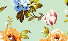 2022年属龙女人的全年健康运势展望及表现分析