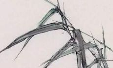 4月出生的小虎宝宝如何选择最佳名字？