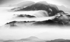 根据华人传统的十二生肖，2022年将是羊年。因此，我们研究了在中国文化中被视为吉祥的数字91与羊相结合，以预测在2022年羊的运势