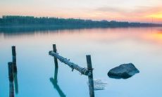 未时出生的女孩是不是最好相处的伴侣？她们温柔善良的品质让人无法抗拒