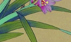 2022年龙人感情运势如何？哪些月份情感生活最为顺利？