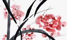 2022年属鼠人的12个月份运势预测，周详解析每个月份对属鼠人的财运、爱情、事业和健康的影响！