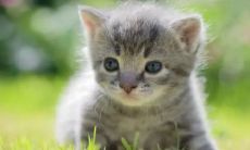 探讨闰八月出生人士的命运与传统信仰：探寻闰八月出生人士的吉凶祥瑞和传统讲究