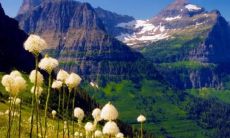 如何提高打牌运气？探讨随身携带哪些物品可有效改善对打牌的胜率影响问题