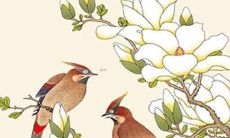 出生、具有“虎”属相的男性1980年全年命运展望与运势预测