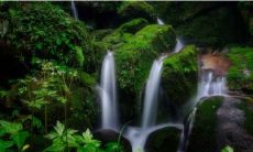 解析与配对：探寻适合癸巳日柱男命的理想配偶与婚姻情况