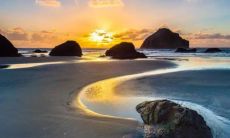 意义探究：白蜡金在中华文化中代表什么？它属于哪一等命？