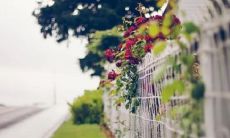 在太岁年需要注意的事项，以及如何戴什么转运以避免犯太岁