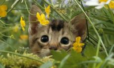 如何解决厕所位于房屋东北角的风水问题？东北角最不宜放置的物品是什么？