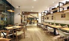 在梦中目睹玉兰花一年盛开、密如渲染的令人惊叹美景