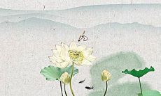 推荐一些令人印象深刻、好听的团队名称