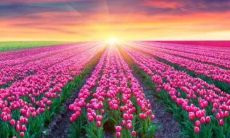 根据五行学说，生肖属木的人缺少哪些元素？哪个月份最适合木命人出生？