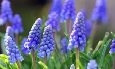 做梦时观察别人呕吐，该如何解析这个梦境呢？