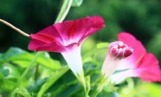 精选韩范男孩名字，让您的男宝宝拥有独特又时尚的个性名字！