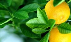 通过选用珏字进行命名会有什么寓意呢？看看这些阳光灿烂的、好听的、充满意义的珏字名字！