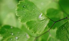 我梦见我的鞋子在不断开裂，胶水满溢，渐渐张开巨大的口子！