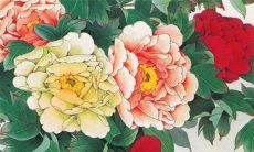 预测：2022年属牛男性的生肖运势与个人运程展望