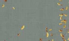 如何为你的虚构角色起一个优美迷人的仙子名字？