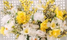 在炎热的天气中，寻找室内的乐趣 - 醉酒的星座们在厕所地板上找到了安慰？