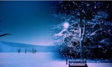 了解命理！松柏木与霹雳火命有什么克制关系？