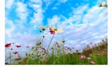 五行喜火的特点：掌握其秘诀，不做心机过重、没有城府的人