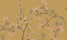 2022年属鼠人五月份的综合运势预测：生活、事业、财富、人际方面的全面分析