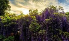 的环境和装修改造来化解五行喜火，增加吉祥气场