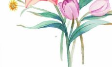 让你回味无穷的充满魅力的动漫女主角名字推荐