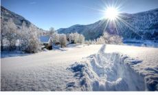 通过相亲寻找戊申日柱女命的理想配偶：揭示她们的特征和选择方法