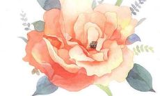 在2022年，将迎来一批可爱的小名，值得期待的孩子们即将降生