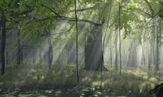 女性出生在戊申日柱之下，婚姻情况详解：家庭财富丰裕，但婚姻状况不佳