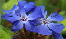 什么含义有关的是，当我们在梦中看到别人的鲜血时，潜意识中究竟传递着什么信息？