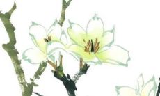 ——最受欢迎的2022年新生女婴命名指南